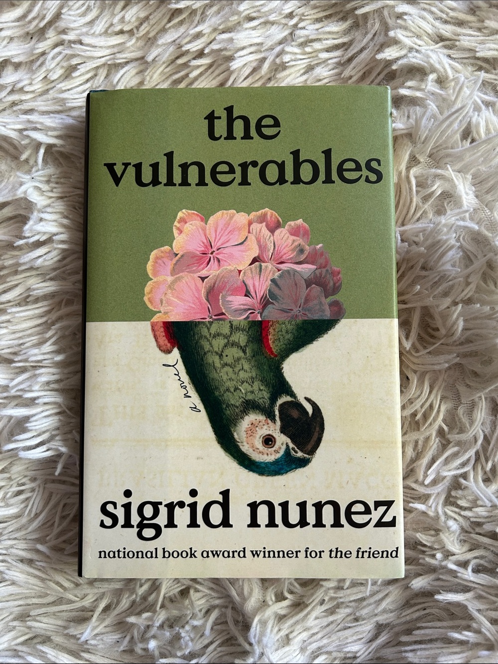 the vulnerables by sigrid nunez — green & cream cover, hardcover